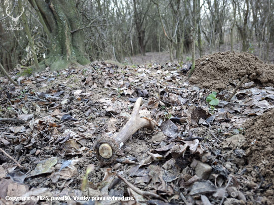 Zanechal mi památku.