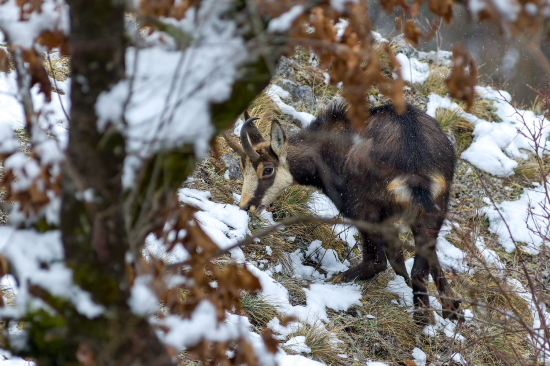 Dnešné aprílove počasie