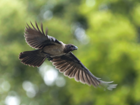 Stále niečo hľadajú