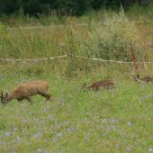 Učiteľ a jeho žiaci