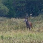 Po daždi sa prišiel ukázať