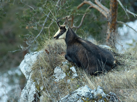 Oddychoval na dobrej vyhliadke