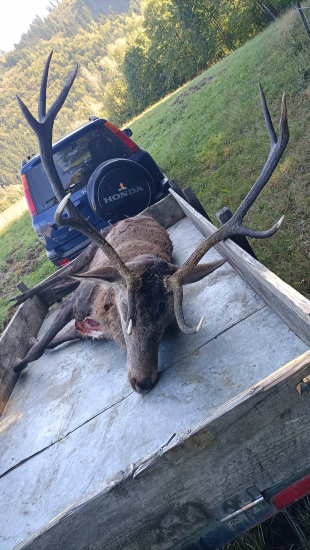 Nepravidelný 10 torak