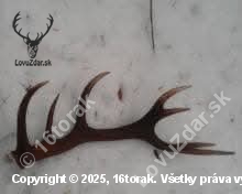 Spomienka