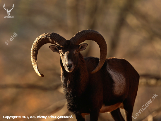 Přišel na pár kroků