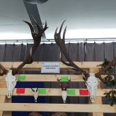 Chovateľská prehliadka trofejí poľovníckej sezóny 2024/2025-Poprad.