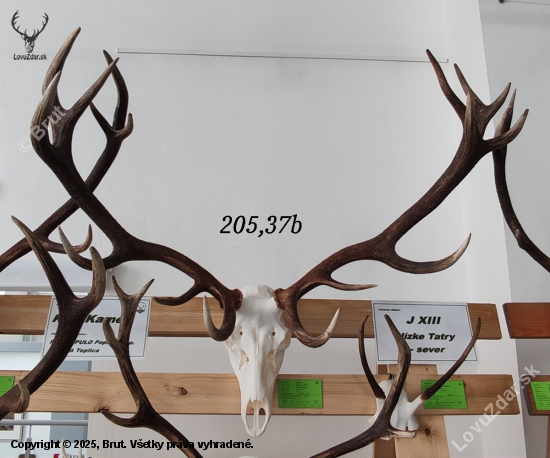 Chovateľská prehliadka trofejí 2024/2025-Poprad.