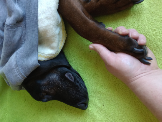 Prehrávame priateľ môj