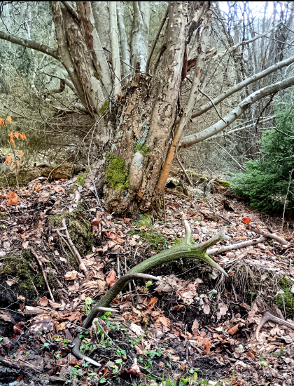 Dedo stále sme tu. Pre teba