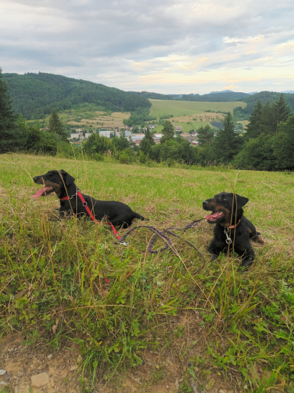 Ked baby odpočivaju.