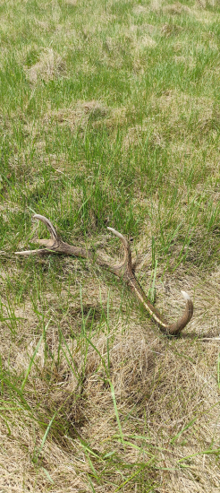 Ešte jeden 10 toráčik