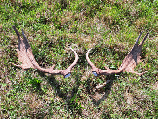 Krásne ukončenie sezóny