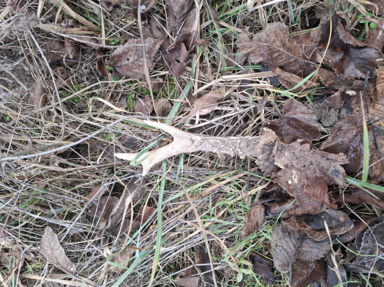 Zase sa na mňa usmialo...