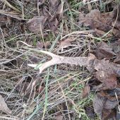 Zase sa na mňa usmialo...