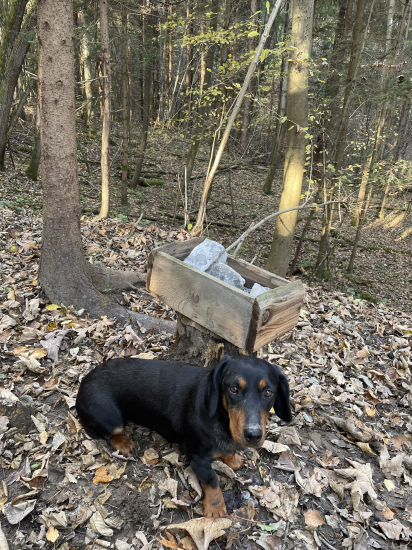 Soľ a partáčka nesmie chýbať ..