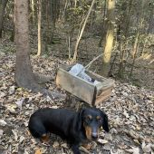 Soľ a partáčka nesmie chýbať ..