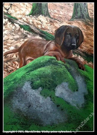 Mladý farbiar