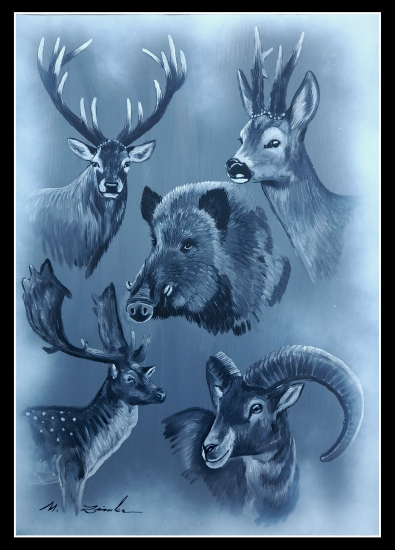 Zvieratá-portréty.