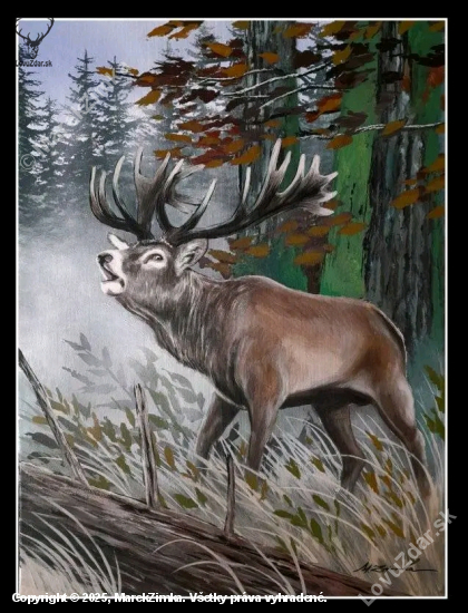 Jeleň