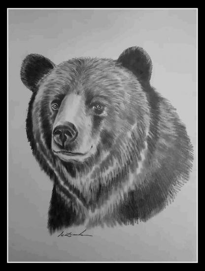 Portrét medveďa