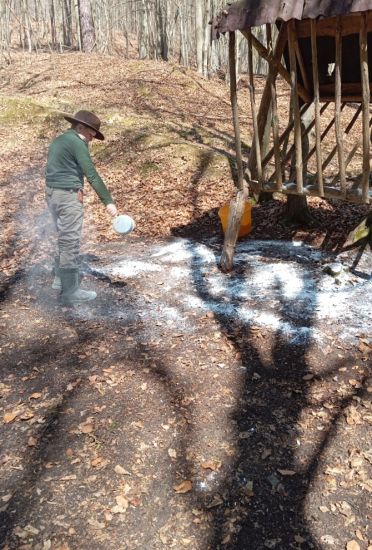 Vyčistené -vydenzifikovane