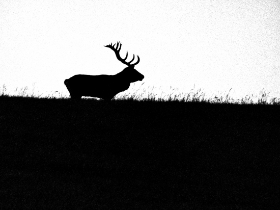 Keď slnko zapadne a jeleň výjde na horizont