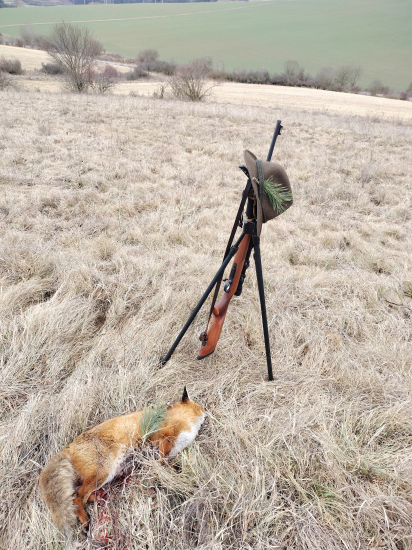 Úspešná prechádzka