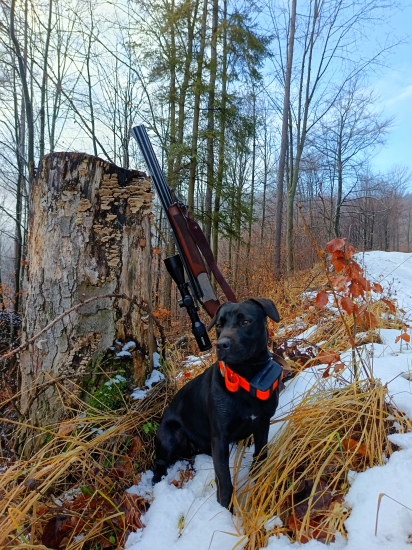 S Patterdalom na posliedke