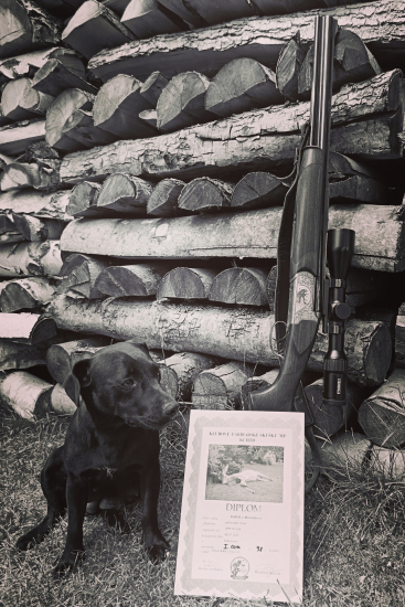 Úspešne zvládnuté FSMP