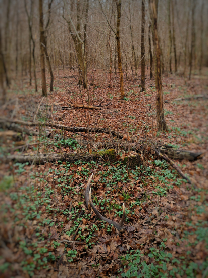 Pohľad na nezaplatenie