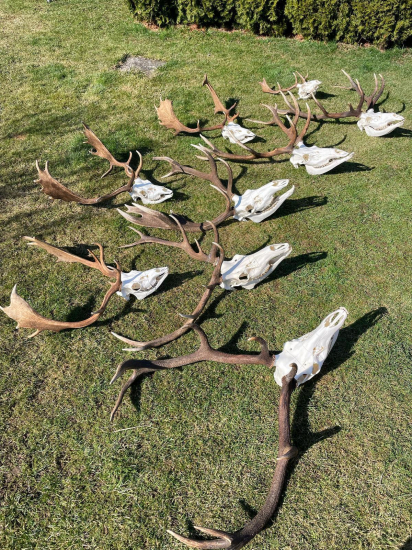 Keď sa sezóna vydarí