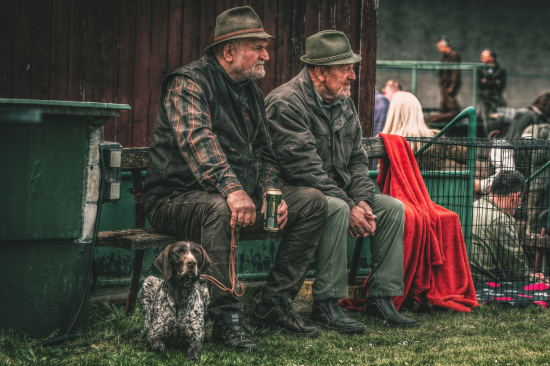 Výstava psov, strretnutie skúseností