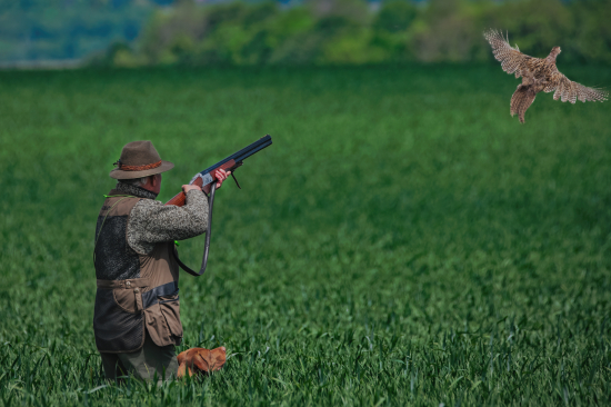 Memorial MVDr. Františka Šimka