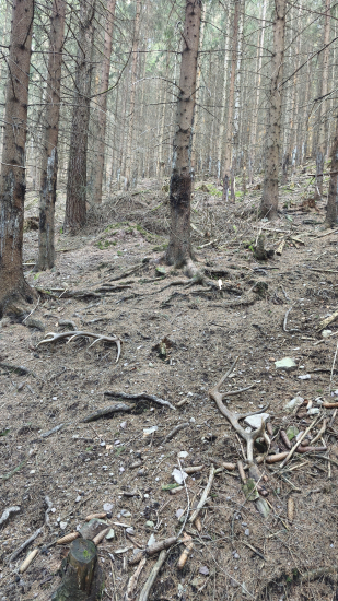 Pohľad na nezaplatenie