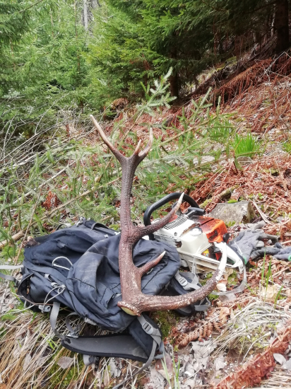 Otročina s prémiou