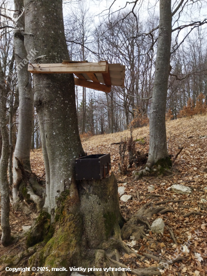 Solisko
