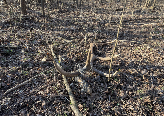 10torak s “ozdobou”