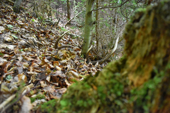 Na Cyrila a Metoda pára