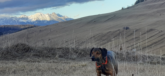 Podvečerný lomničák celkom vzadu.