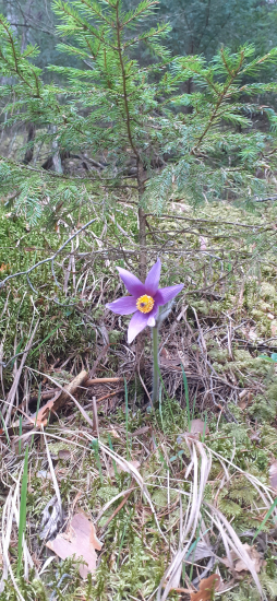 Dnes nebol,,okúpaný