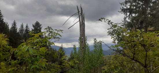 Žeby,,ozonová diera