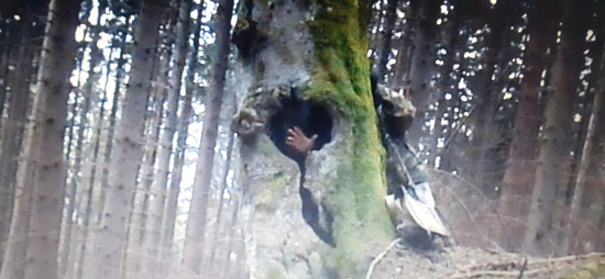 STOP-už je obsadené...