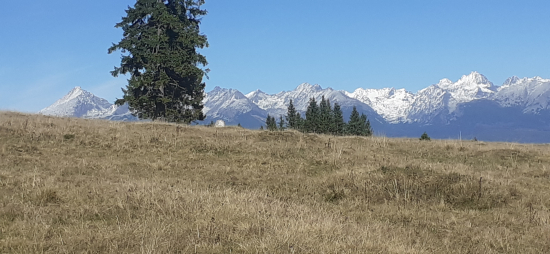 Dá sa tomu odolať...?