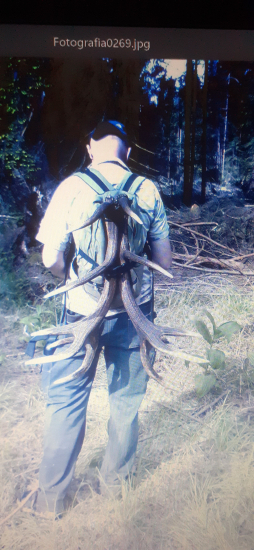 Niečo s archívu r.2016.