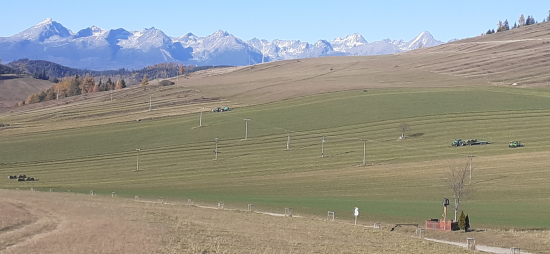 Posledný zber krmiva.