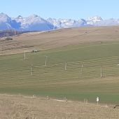 Posledný zber krmiva.