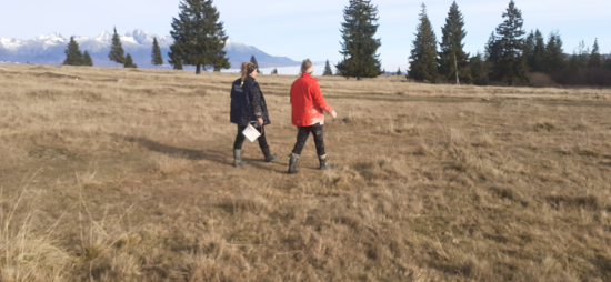 Na dnes,,vymalované