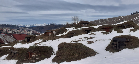 Podvečerný návrat domov.