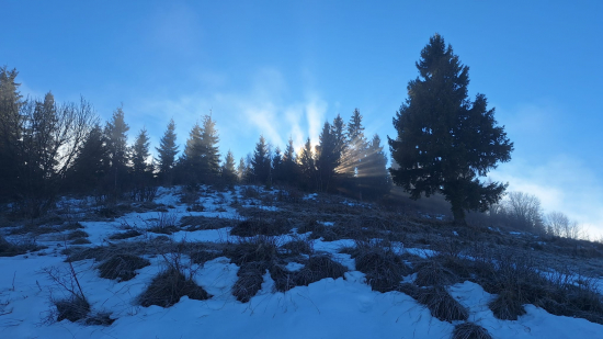 A už sa nám dni predlžujú.