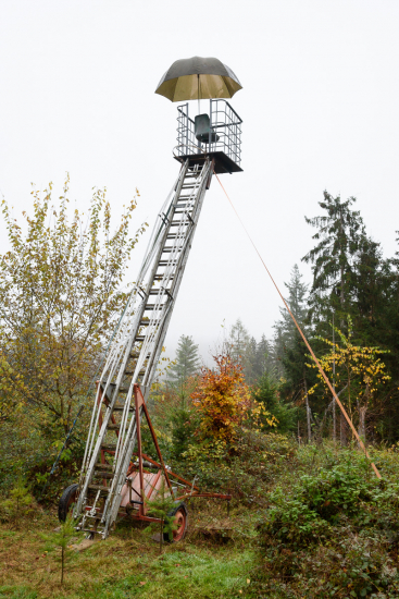 posed z hasičského žebříku